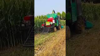 Feed harvester and baler harvesting and baling at the same time [upl. by Ahsotal]