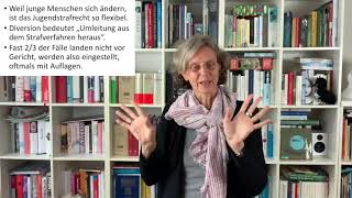DVJJTutorials Folge 1 Jugendstrafrecht  eine Kurzeinführung Von Theresia Höynck [upl. by Rugen]