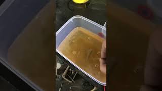 Electroplating  Easy DIY zinc plating [upl. by Bradshaw]