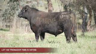 LOT 130 MILLAH MURRAH TRONADOR T398 [upl. by Yannodrahc]