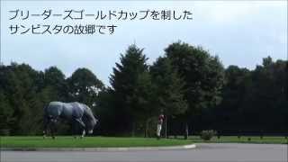 GRANDAMEJAPAN優勝馬のふるさと／グランド牧場（サンビスタ号） [upl. by Beckman]