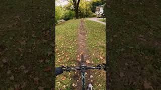 BONUS TRAK AT BIKE PARK LIENZ🚀💪 mtb downhill gopro lienz bikepark [upl. by Nwahsir]