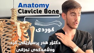 anatomy of upper limbclavicle boneKurdish [upl. by Ginevra]