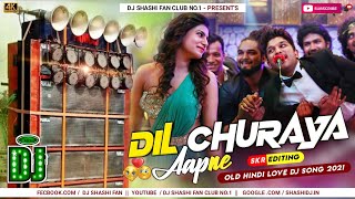 Dil Churaya Aapne Topa Top Dj Song  Akshay Kumar  Hindi Dj Songs 2021  Dj Shashi Remix [upl. by Avuha984]