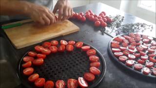 zelf gedroogde tomaten maken  in de oven [upl. by Ellehsad]