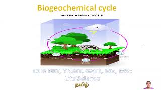 Biogeochemical cycle  Nitrogen Cycle Tamil CSIR NET TNSET GATE Life Science BSc MSc Biology [upl. by Brookhouse]