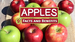 9 Facts and Health Benefits of Eating Apples [upl. by Ahsina]