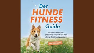 Kapitel 68  Der Hundefitness Guide Mit gezieltem Muskeltraining Bewegungstraining [upl. by Haroldson312]