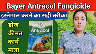 How to use antracol fungicide  Propineb 70wp  Antracol fungicide  bayer antracol fungicide uses [upl. by Formenti197]