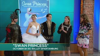 BALLET SPARTANBURG SWAN PRINCESS [upl. by Estes]