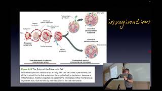 Lecture20Understanding Life ScienceSMWU20242 [upl. by Myriam442]