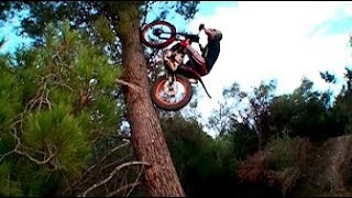 Best Trial Bike Stunts [upl. by Bartie417]