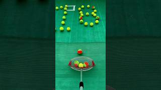 🎾The fastest tennis ball collector 🎾 smalleyes gaming games golfmates tennisball [upl. by Nyladnek]