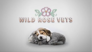 Wild Rose Vets Season 1 Trailer [upl. by Aikal]