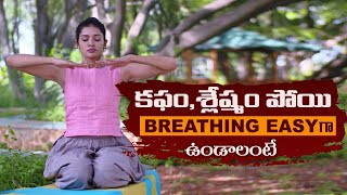 Kapalabhati Pranayama  Breathing Exercises  Healthy Lungs  Yoga With Tejaswini Manogna [upl. by Anihs]