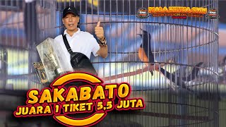 MUTLAK Murai Batu SAKABATO Juara 1 Tiket 55 Juta PIALA KETUA SMM [upl. by Karlise]