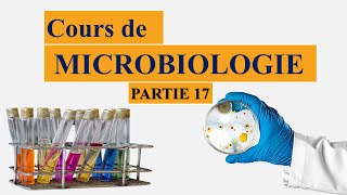 Cours de microbiologie partie 17 métabolisme bactérien [upl. by Ardith]