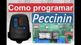 Programar codificar controle peccinin de portão cp 4000 [upl. by John]