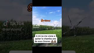 Hasta hay llegó 😅😅🤣humor youtubeshorts feed colombia short subscribers [upl. by Nodrog]