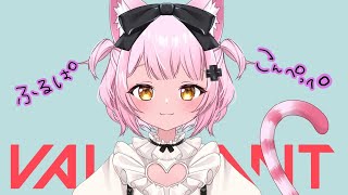 ＜ゲーム配信＞ゆるふわランク♥ｗらんごさん 猫山さん アキラさん ラルさん【VALORANT】 [upl. by Narik]