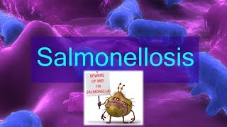 What is Salmonellosis [upl. by Innis]