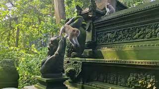 Ubud Monkey Forest [upl. by Agni]