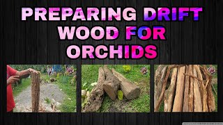 HOW TO PREPARE A DRIFTWOOD FOR ORCHIDSV32 [upl. by Goeger163]