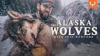 Alaska Wolf Management with Clay Newcomb [upl. by Erdnaed]