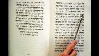 Haftorah Reading Shabbat Rosh Chodesh Rabbi Moshe Weisblum קריאת הפטרה שבת ראש חודש הרב משה ויסבלום [upl. by Bloem]