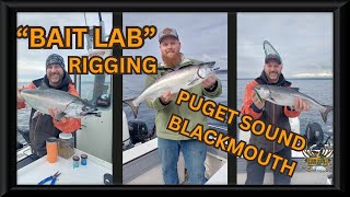 quotBait Labquot Gear That You Need How to Catch Puget Sound Blackmouth quotChinookquot [upl. by Damha]