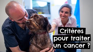 Critères pour traiter un cancer  🐶 🐱 [upl. by Nosnej]