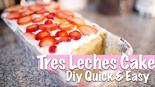 DIY QUICK AND EASY TRES LECHES CAKE RECIPE 2020 [upl. by Emerson510]