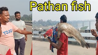 12KG CATFish Catching ✅ Amazing wallago fish video ✅ Triple Hook Fishing ✅ Fishing video [upl. by Enamrahs]