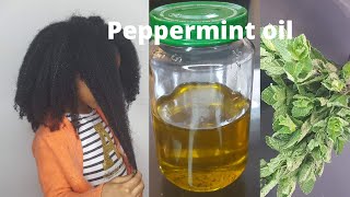 2 methods of How to make peppermint oil for super hair growth [upl. by Lectra177]