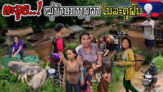 ຕະລຸຍໝູ່ບ້ານກາງພູຜາຂອງຊົນເຜົ່າມົ້ງໃນລະດູຝົນ  ตะลุยหมู่บ้านกลางภูเขาของชนเผ่าม้งในฤดูฝน [upl. by Ardnama]