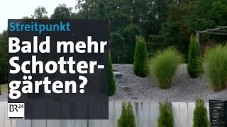 Schottergärten auf dem Vormarsch Gesetzentwurf in der Kritik  Abendschau  BR24 [upl. by Eladnyl]