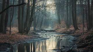 Winter’s Quiet Rhapsody Birdsong and the Echo of Raindrops Along a Meandering Stream [upl. by Heyman]