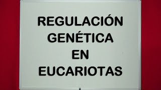 REGULACION GENETICA EN EUCARIOTAS [upl. by Jeana174]