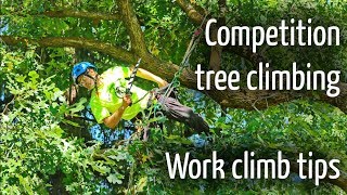 Competition tree climbing tips  Work Climb [upl. by Hahnke]