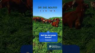 Invertir en Campo en Uruguay Con 45 años en Agronegocios te asesoramos para elegirlo realestate [upl. by Eolcin610]