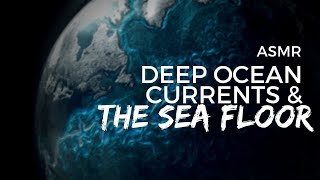 ASMR  Viewer Choice Deep Sea Currents and the Seafloor [upl. by Aicilana]