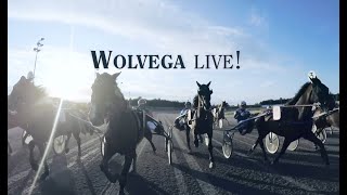 Wolvega Live  Uitzending integraal van 16102024 [upl. by Derr]