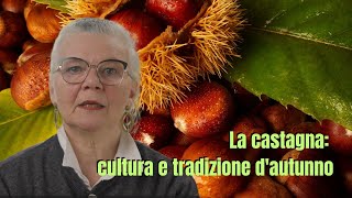 La castagna cultura e tradizione dautunno [upl. by Klehm]