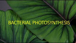 BACTERIAL PHOTOSYNTHESIS II PHOTOSYNTHETIC PIGMENTS [upl. by Lanod]