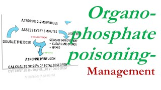 OP poisoning management [upl. by Nethsa478]