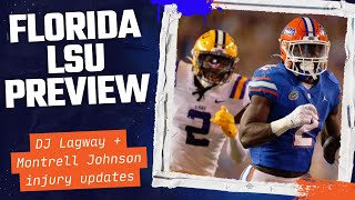 Can Florida Gators FINALLY Beat LSU Tigers in 2024 [upl. by Beane]