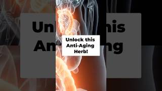 Unlock Gingers Secret AntiAging and Inflammation Benefits [upl. by Elag989]