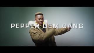 Olamide ft Davolee  Pepper Dem Gang  official video [upl. by Leasi]