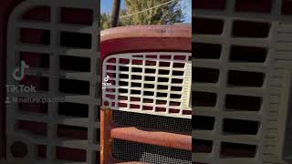 🐝 Wasps make nest in tractor grill 🐝 pestcontrol [upl. by Adlare563]