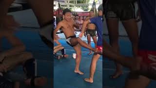 Muay Thai Techniques from Lerdsila Phuket Top Team [upl. by Calmas351]